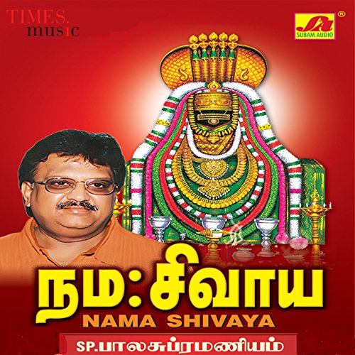 Namasivaya telugu mp3 songs free download namasivaya om namah shivaya mp3 free download hd